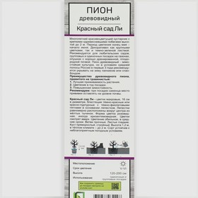 Пион древовидный (привитый на травянистый) «Красный сад Ли» 3 шт., саженец, цветущий, туба