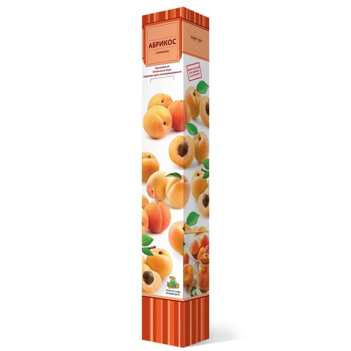 Абрикос "Триумф Северный" 1 шт, туба, Май 2022 - Фото 1