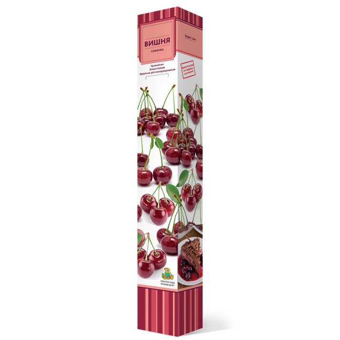 Вишня "Жуковская" 1 шт, туба, Май 2022 - Фото 1