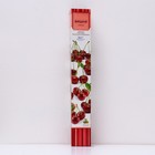 Вишня (дюк) "Факел" 1 шт, туба, Весна 2026 - Фото 1