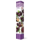 Слива "Заречная ранняя" 1 шт, туба, Весна 2026  (артикул 7862924)  большой выбор товаров оптом и в розницу по низким ценам с доставкой