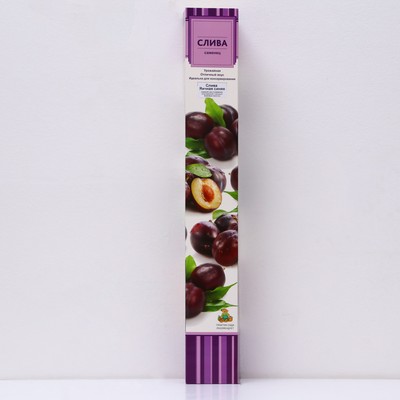 Слива "Яичная синяя" 1 шт, туба, Весна 2024