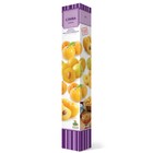 Слива русская (Алыча) "Подарок Санкт-Петербургу" 1 шт, туба, Весна 2026 - Фото 1