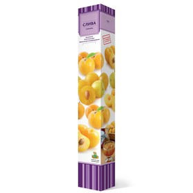 Слива русская (Алыча) 