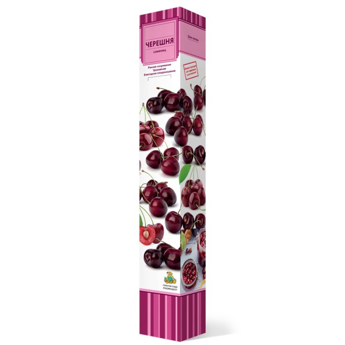 Черешня 