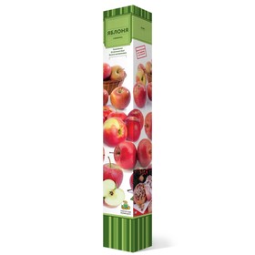 Яблоня (в коробке) 