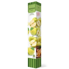 Яблоня карликовая 