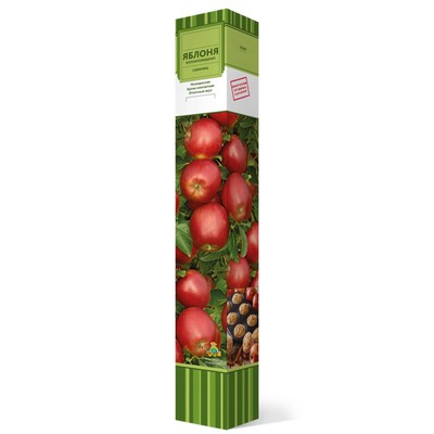 Яблоня колонновидная "Джин" 1 шт, туба, Весна 2026