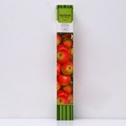 Яблоня колонновидная "Кумир" 1 шт, туба, Весна 2026  (артикул 7862980)  большой выбор товаров оптом и в розницу по низким ценам с доставкой