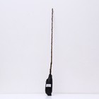 Яблоня колонновидная "Кумир" 1 шт, туба, Весна 2026  (артикул 7862980)  большой выбор товаров оптом и в розницу по низким ценам с доставкой