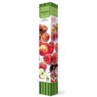 Яблоня колонновидная  "Приокское" 1 шт, туба, Май 2022  (артикул 7862986)  большой выбор товаров оптом и в розницу по низким ценам с доставкой