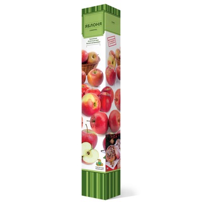 Яблоня колонновидная  "Приокское" 1 шт, туба, Май 2022