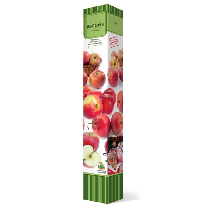 Яблоня колонновидная  