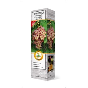 Виноград плодовый  "Кишмиш лучистый", туба, 1 шт, Весна 2024 7863006