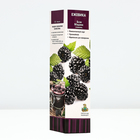 Ежевика «Блэк Мэджик», саженец, плодовый, туба, 1 шт. - Фото 2