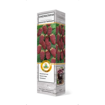 Ежемалина (Ежевика) "Бакингем Тейберри (малина х ежевика)", туба, 1 шт, Весна 2024