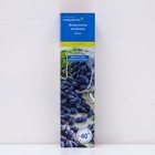 Жимолость съедобная (Серия Северный Сад) "Омега" 1 шт, туба, Весна 2024  (артикул 7863018)  большой выбор товаров оптом и в розницу по низким ценам с доставкой