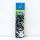 Жимолость съедобная (Серия Северный Сад) «Славянка» 1 шт., туба - Фото 1