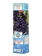 Жимолость съедобная (Серия Северный Сад) «Сластена» 1 шт., туба - Фото 1