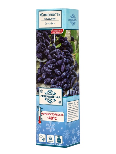 Жимолость съедобная (Серия Северный Сад) «Сластена» 1 шт., туба