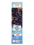 Жимолость съедобная (Серия Северный Сад) «Сластена» 1 шт., туба - Фото 2