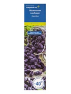 Жимолость съедобная «Сластена» 1 шт., туба, Весна 2026, «ПОИСК» - Фото 6