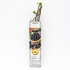 Йошта (крыжовник х смородина, йоштаберри) "" 1 шт, туба, Весна 2025 - Фото 1