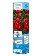 Клюква крупноплодная (Серия Северный Сад) «Пилигрим» 1 шт., туба - Фото 1