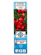 Клюква крупноплодная (Серия Северный Сад) «Пилигрим» 1 шт., туба - Фото 2