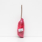 Малина перспективные сорта "Желтый гигант" 1 шт, туба, Весна 2024 7863037 - фото 8291540