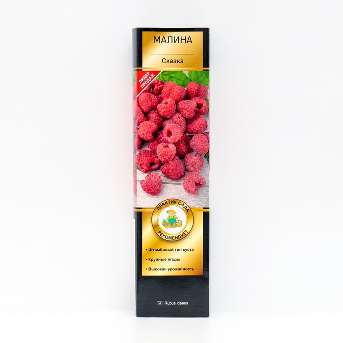 Малина перспективные сорта (штамбовый тип куста) 