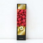 Малина ремонтантные сорта (штамбовый тип куста) "Пингвин" 1 шт, туба, Весна 2025 - Фото 1