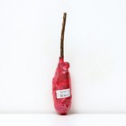 Малина ремонтантные сорта (штамбовый тип куста) "Пингвин" 1 шт, туба, Весна 2025 - Фото 2