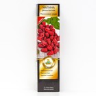 Малина ремонтантные сорта Люкс "Малиновая гряда" 1 шт, туба, Весна 2025 - Фото 1