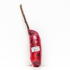 Малина ремонтантные сорта Люкс "Малиновая гряда" 1 шт, туба, Весна 2025 - Фото 3