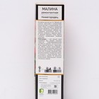 Малина ремонтантные сорта Люкс "Нижегородец" 1 шт, туба, Весна 2025  (артикул 7863046)  большой выбор товаров оптом и в розницу по низким ценам с доставкой
