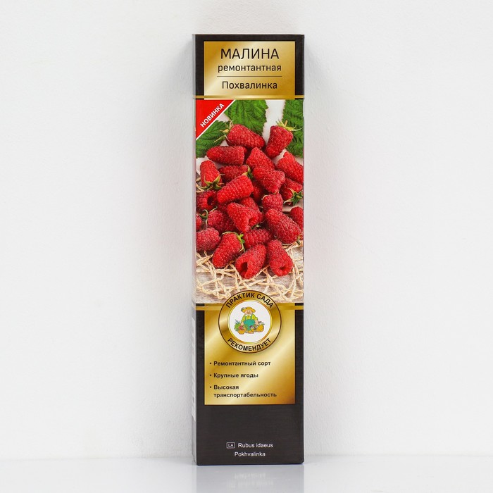 Малина ремонтантные сорта Люкс Похвалинка 1 шт., туба, Весна 2026