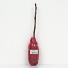 Малина ремонтантные сорта Люкс Похвалинка 1 шт., туба, Весна 2026  (артикул 7863047)  большой выбор товаров оптом и в розницу по низким ценам с доставкой