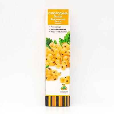 Смородина белая «Версальская белая», традиционные сорта, саженец, 1 шт., туба