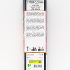 Смородина красная перспективные сорта Уральская красавица 1 шт. туба, Весна 2026  (артикул 7863058)  большой выбор товаров оптом и в розницу по низким ценам с доставкой