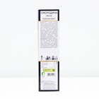 Смородина черная "Селеченская - 2", перспективные сорта, саженец, туба, 1 шт. - Фото 3