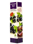 Смородина черная «Багира», традиционные сорта, саженец, 1 шт., туба - Фото 1