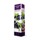 Смородина черная «Ядреная», традиционные сорта, саженец, 1 шт., туба - Фото 1