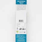 Шелковица черная Нигра 1 шт. туба Весна 2026 - Фото 3