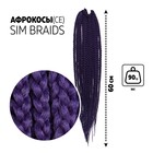 SIM-BRAIDS Афрокосы, 60 см, 18 прядей (CE), цвет фиолетовый(#PUR) - фото 6590316