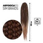 SIM-BRAIDS Афрокосы, 60 см, 18 прядей (CE), цвет русый/тёплый блонд(#FR-5) - фото 9701400