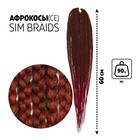 SIM-BRAIDS Афрокосы, 60 см, 18 прядей (CE), цвет русый/бордовый(#FR-9) - фото 9701420