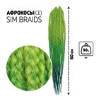 SIM-BRAIDS Афрокосы, 60 см, 18 прядей (CE), цвет светло-зелёный/зелёный/ультрамарин(#FR-31) - фото 19363407