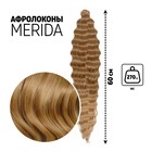 МЕРИДА Афролоконы, 60 см, 270 гр, цвет русый/светло-русый HKB26/15 (Ариэль) - Фото 1