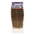 ГОЛЛИВУД Афролоконы, 60 см, 270 гр, цвет тёмно-русый/светло-русый HKB18Т/16 (Катрин) - фото 21571555